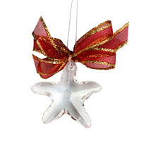 Ornament se SWAROVSKI ELEMENTS mořská hvězda 40mm v barvě crystal